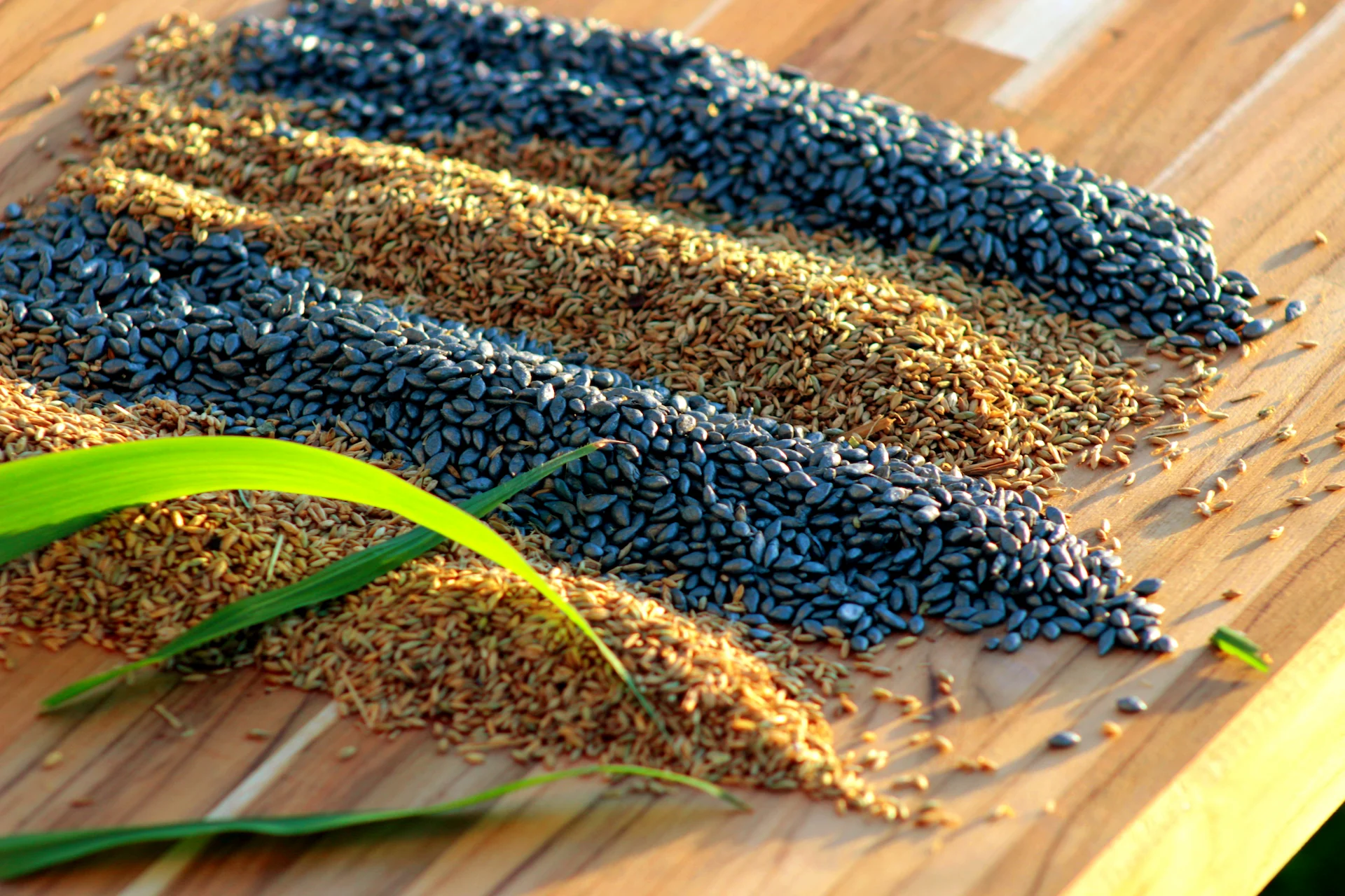 Qualidade Que<br><span>Garante Resultados</span>