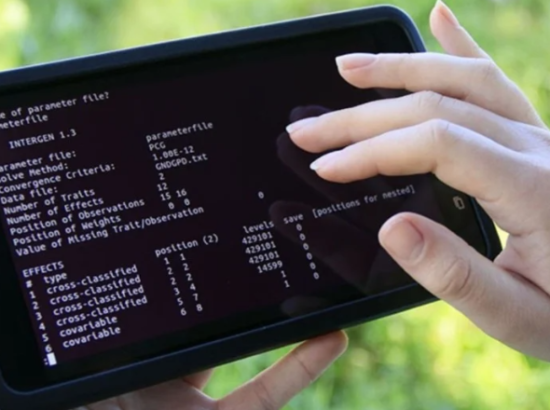 Pecuária do futuro: como a inteligência artificial deve mudar a atividade no País