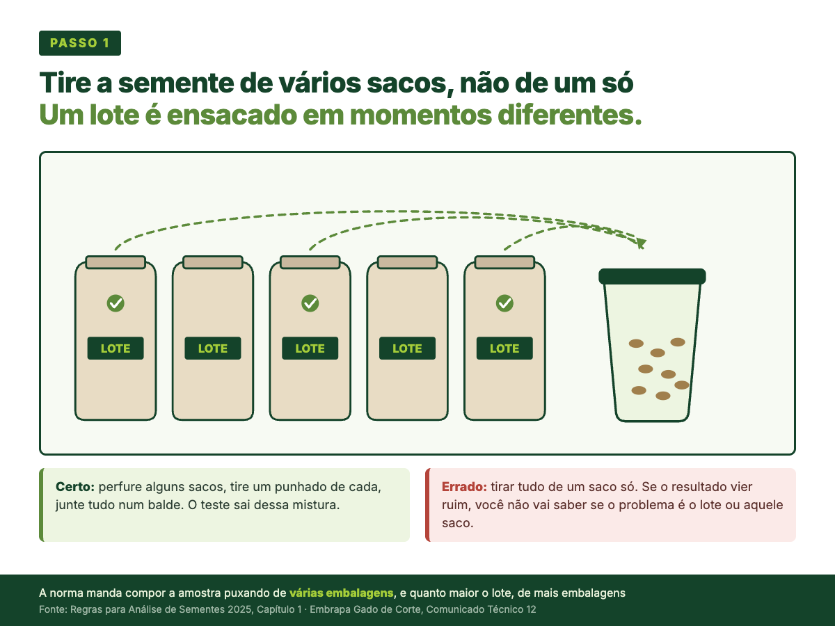 Cinco sacos de semente de capim enfileirados, três deles marcados com um sinal de conferido, e setas levando um punhado de cada para um balde onde a semente é misturada.