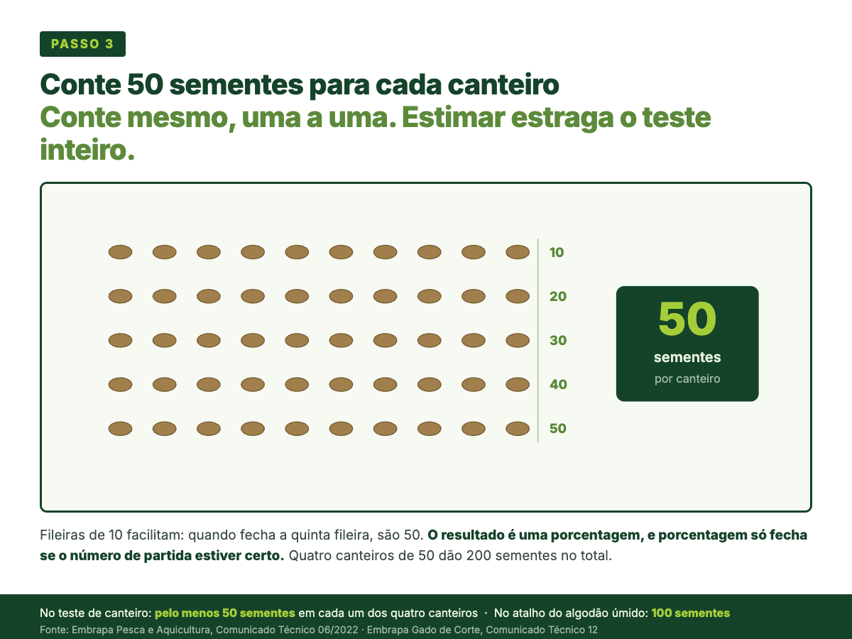 Cinquenta sementes de capim dispostas em cinco fileiras de dez, com a contagem acumulada ao lado de cada fileira: 10, 20, 30, 40 e 50.