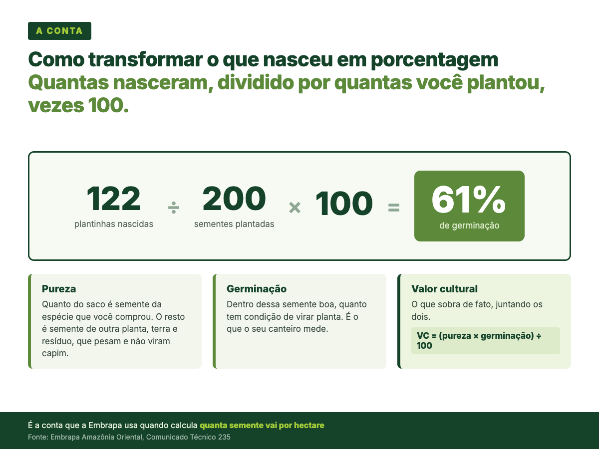 A conta do resultado do teste: 122 plantinhas divididas por 200 sementes, vezes 100, igual a 61% de germinação. Ao lado, a definição de pureza, germinação e valor cultural.