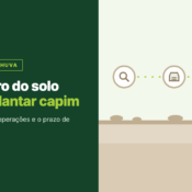 Ilustração de um perfil de solo com as três etapas do preparo, da análise de solo ao calcário e à semeadura, com uma plantinha de capim nascendo.