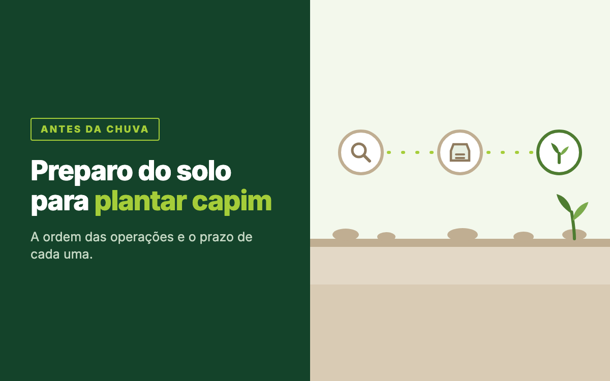 Ilustração de um perfil de solo com as três etapas do preparo, da análise de solo ao calcário e à semeadura, com uma plantinha de capim nascendo.