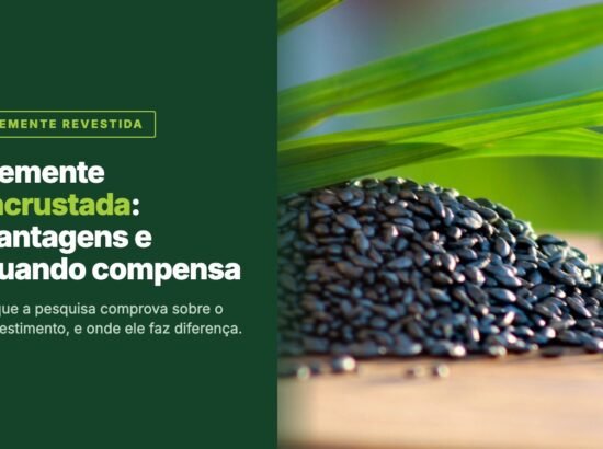 Semente incrustada: o que é, as vantagens e quando compensa