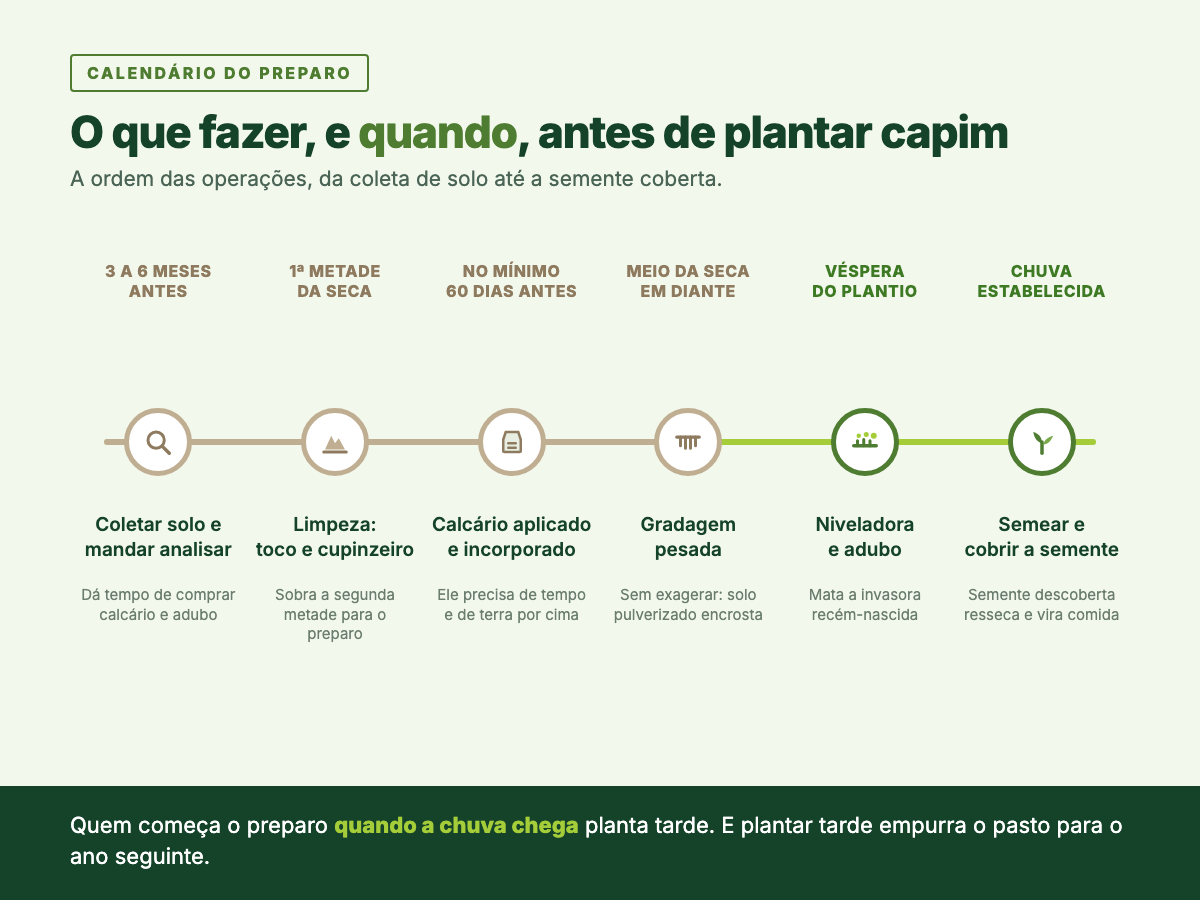 Linha do tempo do preparo de área para plantar capim, da coleta de solo três a seis meses antes até a semeadura com a semente coberta, na chuva estabelecida.