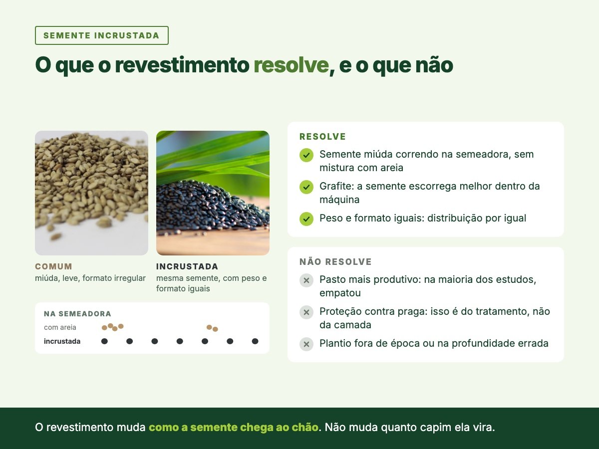 Foto da semente de capim comum, clara e irregular, ao lado da semente incrustada da Campo Verde, preta por causa do grafite, com a lista do que o revestimento resolve no plantio e do que a pesquisa não confirma.